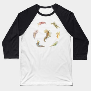 Nudibranch Set Classic Colors Baseball T-Shirt